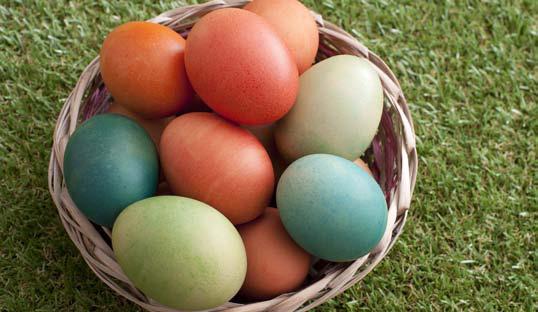 Egg hunts have become a common and fun practice in American Easter celebrations. courtesy photo | EasterStockphotos.com