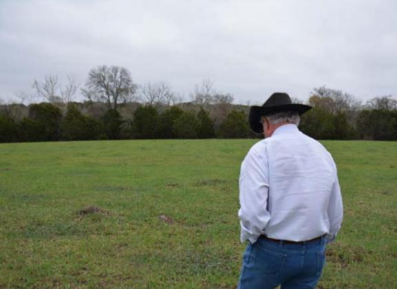 Mickey Edwards walks his Lampasas County ranch in this March 2021 photo. With low rain expected this year, Edwards fears a hay shortage could occur. MONIQUE BRAND | DISPATCH RECORD