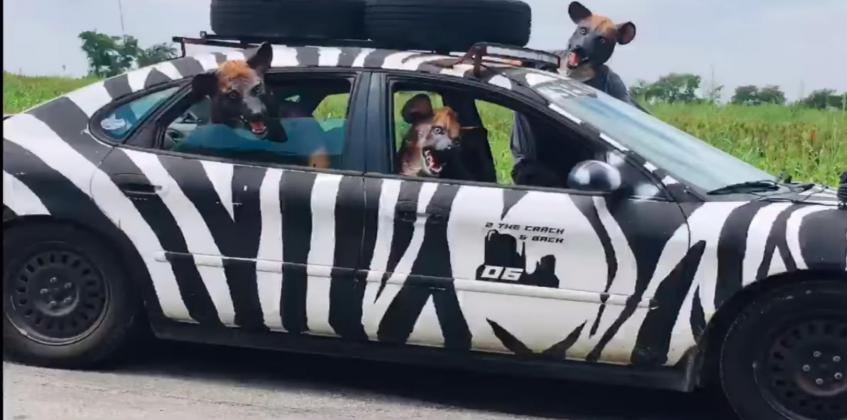 The “2 the Crack and Back” car race – which takes participants to the Grand Canyon and back to Lampasas – features a number of zany antics, as shown by this animal-costumed team using a “Lion King” theme. 2 THE CRACK AND BACK FACEBOOK PAGE