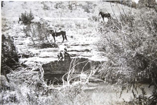 A love for horses came naturally and early for Ronny Bumpus. Here, he and his brother John Robert Bumpus are fishing on Lucy Creek near Adamsville on July 4, 1953. “We’d ride our horses over there and fish all day,” Ronny Bumpus said. The horse on the left was named Ginger and was ridden by John Robert. Ronny’s horse Baby Doll stands in the background. Courtesy photo