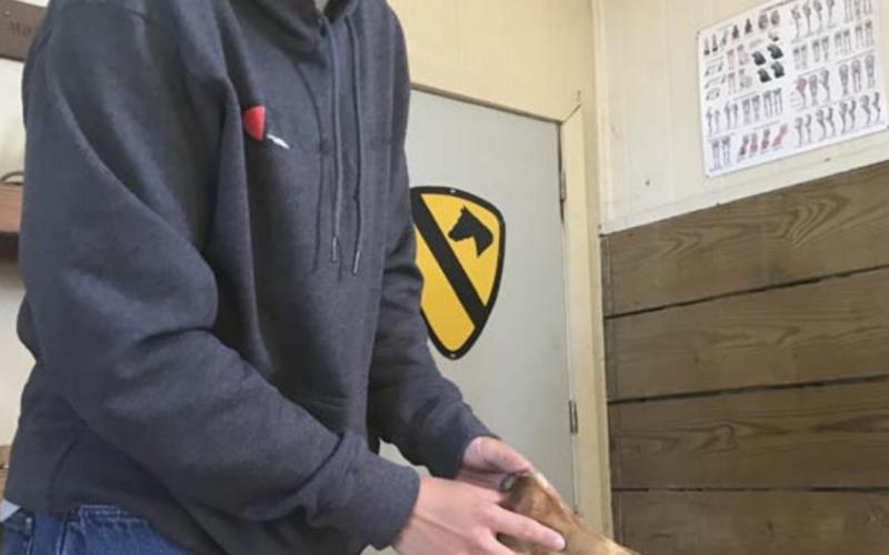 Farrier gives demonstration