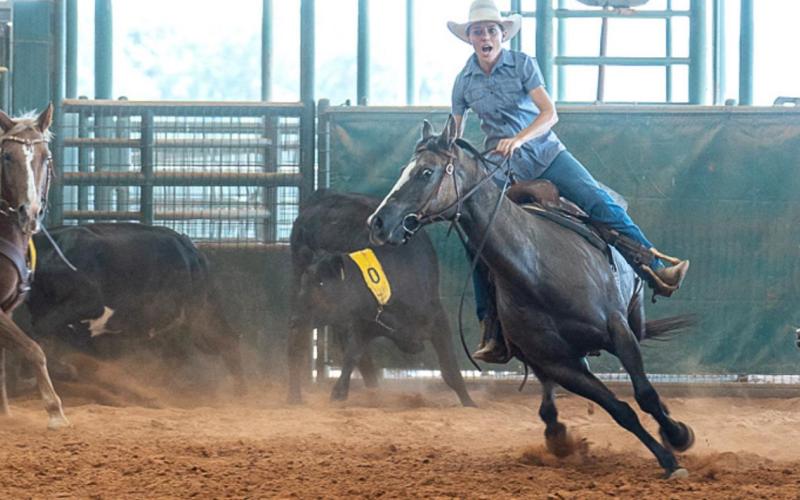 Bar 17 Arena hosts team penning competition