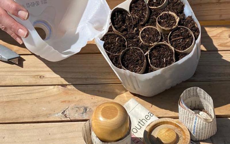 Winter sowing allows gardeners to start transplants from seeds outdoors using recycled items. courtesy photo | melindamyers.com
