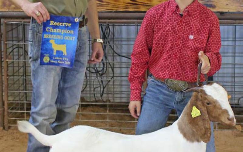 MASON HINES | DISPATCH RECORD Wyatt Tucker took home reserve champion breeding goat honors. He also received the junior showmanship award.