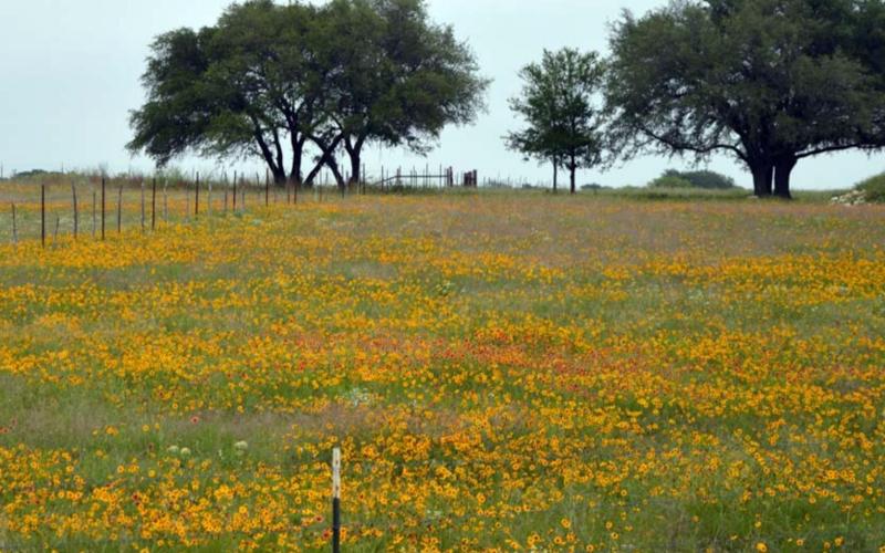Landscape reflects spring weather