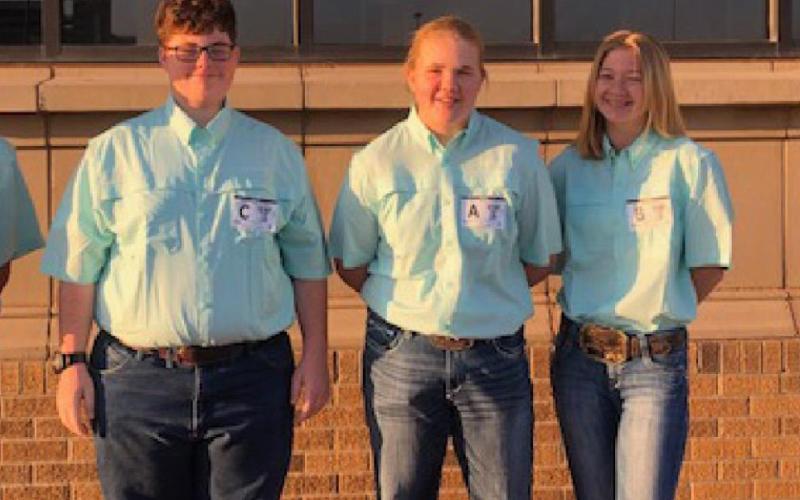Plant ID team places in top 10 at state contest