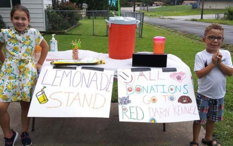 Lemonade stand benefits animal shelter