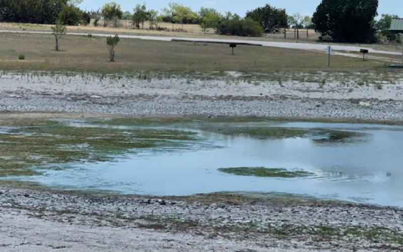 Lampasas County, along with most of the state, is experiencing some form of drought and scorching temperatures. Pictured here is the pond in Lometa, which shows low water levels. MASON HINES | DISPATCH RECORD