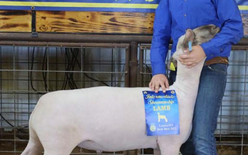 The intermediate market lamb showmanship honor was awarded to Gage Falkner. MASON HINES | DISPATCH RECORD