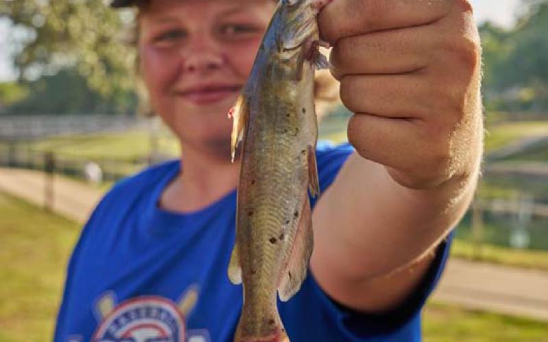The first catch of the day was a 3/8-inch catfish by Tucker Romine in the 12- to 16-year-old division. ADAM BARRIOS | DISPATCH RECORD