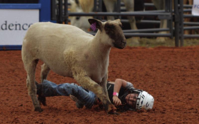 Kylan Bartley takes a tumble during Saturday’s mutton bustin’ competition. ERICK MITCHELL | DISPATCH RECORD