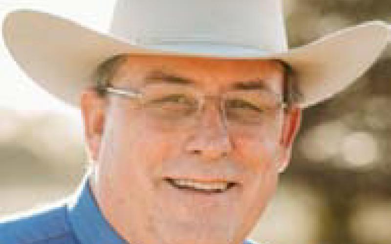 HERB PEARCE
