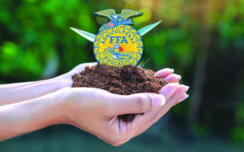 Students discuss the meaning behind FFA