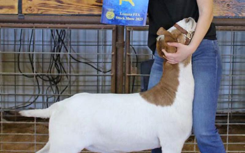 FILE PHOTOT Daecee Ellis showed the grand champion market goat at last year’s Lometa FFA Livestock Show. Banners will be awarded to multiple exhibitors this year as they prepare for the major shows.