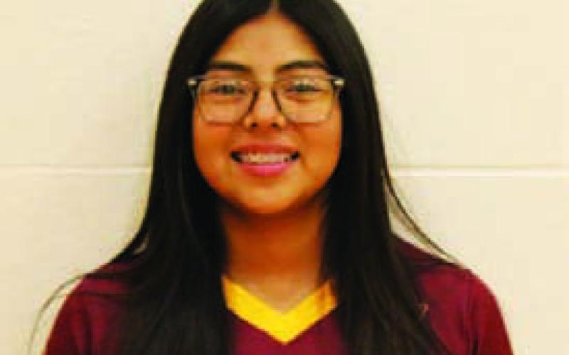 Name: Vanessa Perez Class: Senior Sport: Volleyball Favorite School Subject: Athletics Favorite Vacation: New Mexico One Person To Meet: Drake Main Goal This Season: Win lots of games.