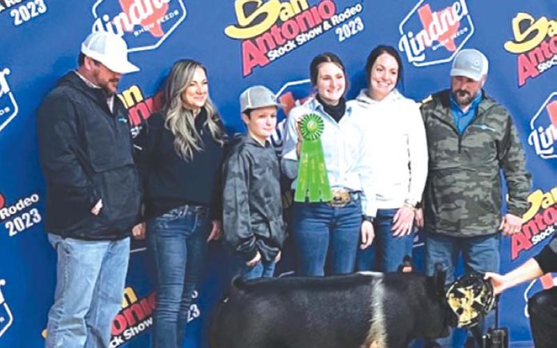 Lampasas FFA member Paige Rutland placed sixth with her Hampshire barrow at the San Antonio Livestock Show. court esy photo