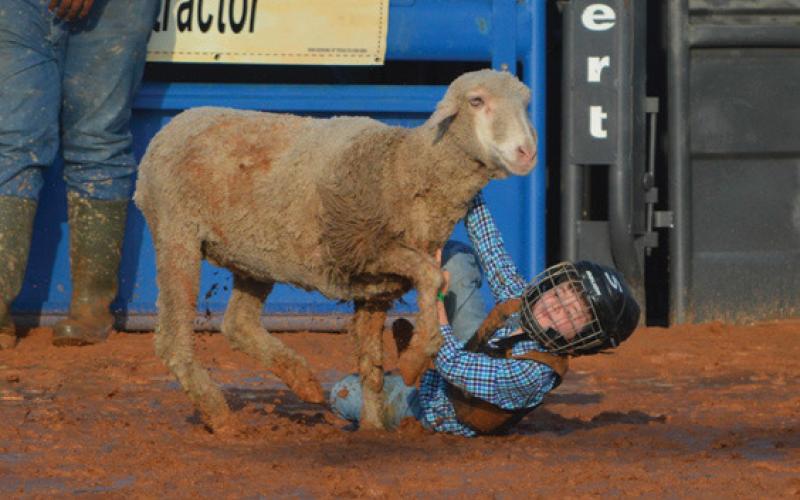 Caleb Hernandez tries to hold onto his sheep during mutton bustin’ at the Riata Roundup Rodeo on Friday. erick mitchell | dispatch record