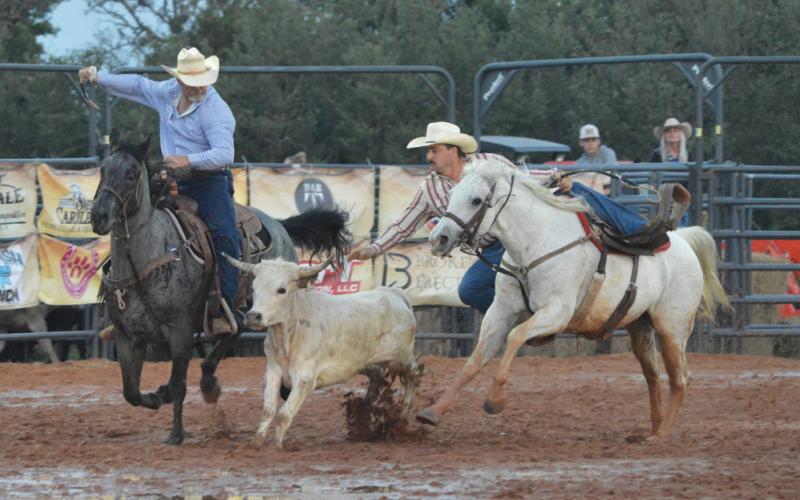 erick mitchell | dispatch record Call Brown reaches to grab his steer during Friday’s steer wrestling at the Riata Roundup Rodeo.