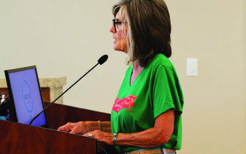 Christmas on the Creek spokesperson Libby Bluntzer addressed the Lampasas City Council Monday to advocate for continued funding for the annual event. HUNTER KING | DISPATCH RECORD