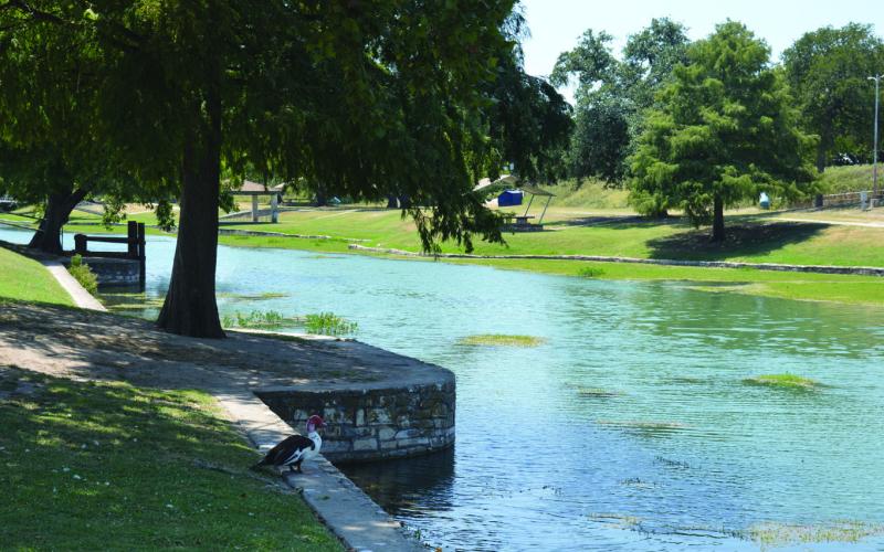 A petition has garnered attention for opening Sulphur Creek at W.M. Brook Park for swimming. ERICK MITCELL | DISPATCH RECORD