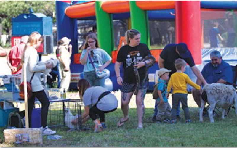 One activity children enjoyed was the opportunity to pet some farm animals. hunter king | dispatch record