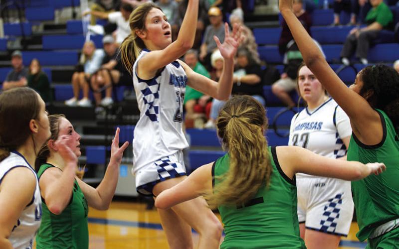Payton Tatum returned from injury last Tuesday against Burnet, and she played once again in the Marble Falls contest. HUNTER KING | DISPATCH RECORD