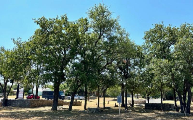 Cook Cemetery is tucked up underneath the trees beside a busy Lampasas roadway. It is an important part of local history. Joycesarah McCabe | Dispatch Record