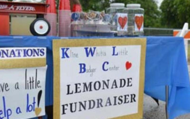 A lemonade stand fundraiser is set for July 27. MONIQUE BRAND | DISPATCH RECORD