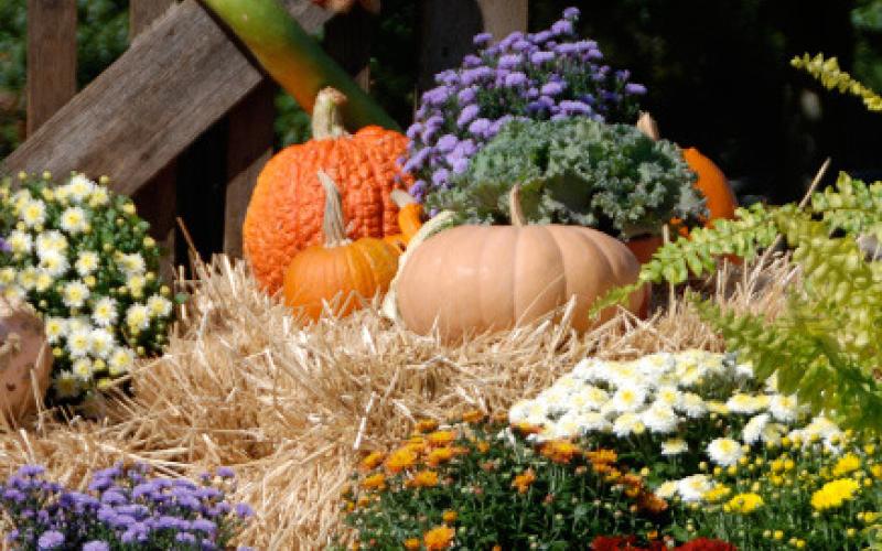 An autumn display of mums, straw bales, pumpkin and ornamental squash dress up this landscape. courtesy photo | melindamyers.com