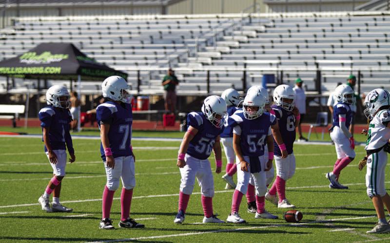 The Badger offensive line prepares to block during an October contest. HUNTER KING | DISPATCH RECORD