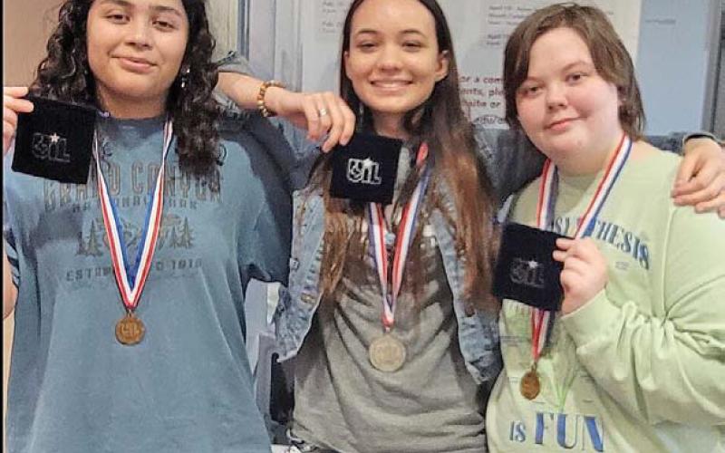 LHS state-qualifiers in computer applications are, from left to right, Sophia Munoz, Laura Webb and Kailey Morgan. judith ann mcghee | courtesy photo