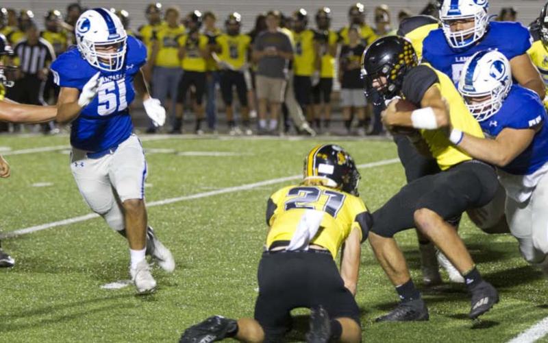 Badgers, Hornets both prevail in football