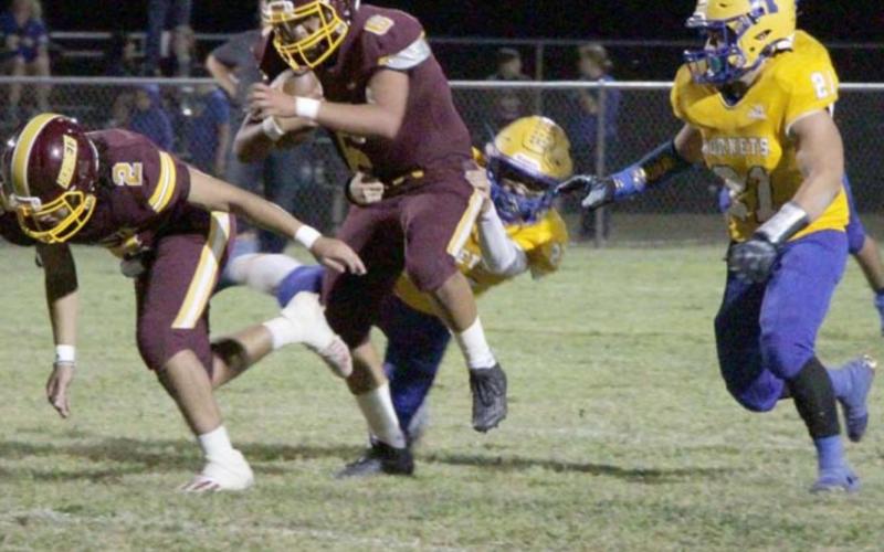 Badgers, Hornets both prevail in football