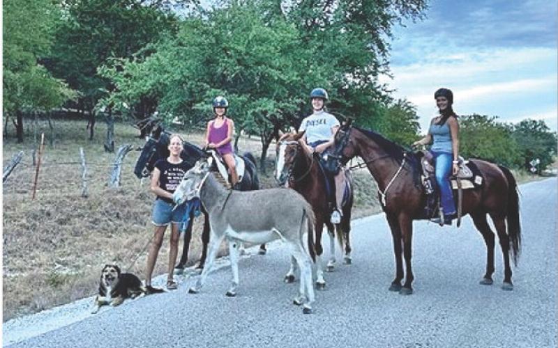 One must be cautious of horses and riders on rural roads. Sadie, Denise, Carlotta and Soleta frequently travel this road as they ride. JOYCESARAH MCCABE | DISPATCH RECORD