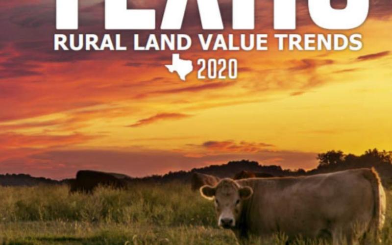 The Texas Rural Land Value Trends document offers a wealth of information on population growth trends, land transactions and property lease values across the state. cover image