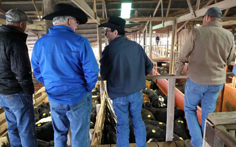 Senator Pete Flores, third from left, visits with Mickey Edwards and other ag producers at Lampasas Cattle Auction Wednesday morning as they discuss cattle numbers and market concerns before Flores met with Lampasas County Farm Bureau members. JOYCESARAH MCCABE | DISPATCH RECORD