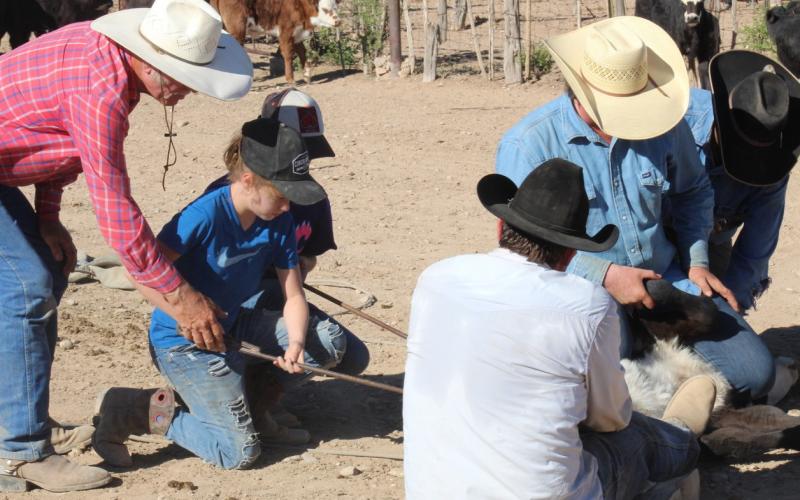 Three generation work cattle on a family ranch. Teaching always slows down the progress of the work, but if the next generation isn’t taught, who will carry on? joycesarah mccabe | dispatch record