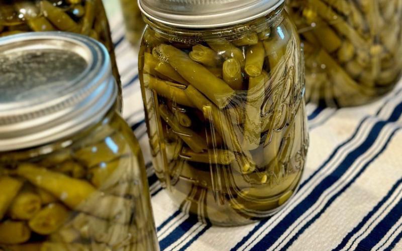 A great way to preserve the nutrition and fresh taste of gardengrown green beans is to can them in a pressure canner. These green beans have just been canned, and once the rings are sealed they will be ready to be stored for later use. joycesarah mccabe | dispatch record