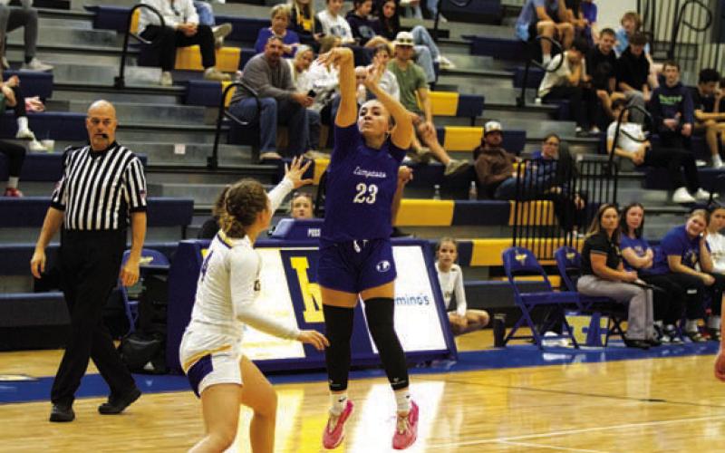 HUNTER KING | DISPATCH RECORD Payton Crawford shoots over a Lady Viking defender.