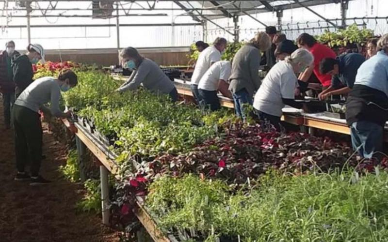 Greenhouse plant sale scheduled