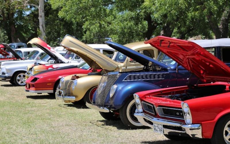 Cars line up in W.M. Brook Park for spectators to come by and take a look and appreciate the work that has gone into them. These vehicles were part of the Sulphur Creek Car Cruise. CHRIS MILES | DISPATCH RECORD