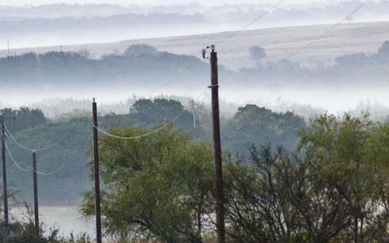 Fog shrouds pastures along FM 580 between Lampasas and Nix. Most outlooks call for winter temperatures in the area to average 2-3 degrees above normal, meteorologist Bob Rose said. JEFF LOWE | DISPATCH RECORD