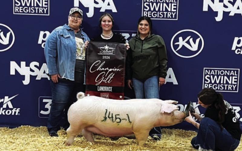 Michaela White, second from left, showed the Champion Landrace at the National Swine Registry’s Southwest TYPE Conference. COURTESY PHOTO