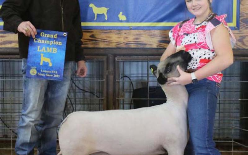 The reserve champion market lamb was shown by Sophia McElwain. She also took home the senior market lamb showmansip award. MASON HINES | DISPATCH RECORD