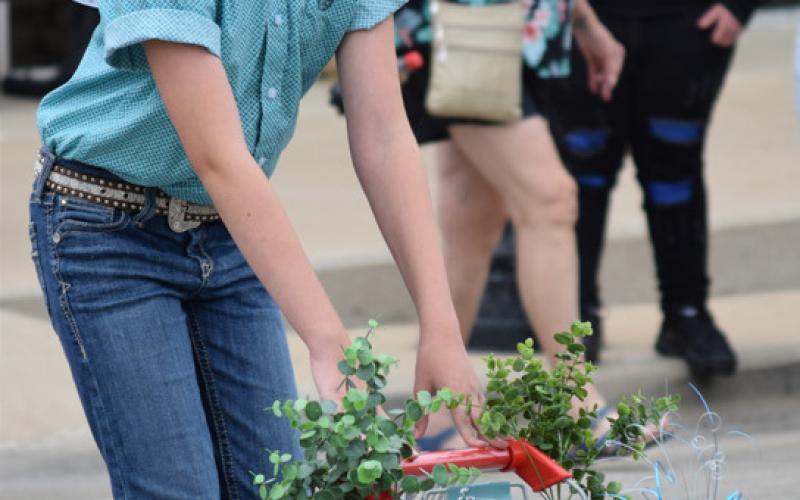 Jordan Greenberg put her pet rabbit, Willow, on display during the Pet Parade. Greenberg won second place for most unusual pet. ALEXANDRIA RANDOLPH | DISPATCH RECORD