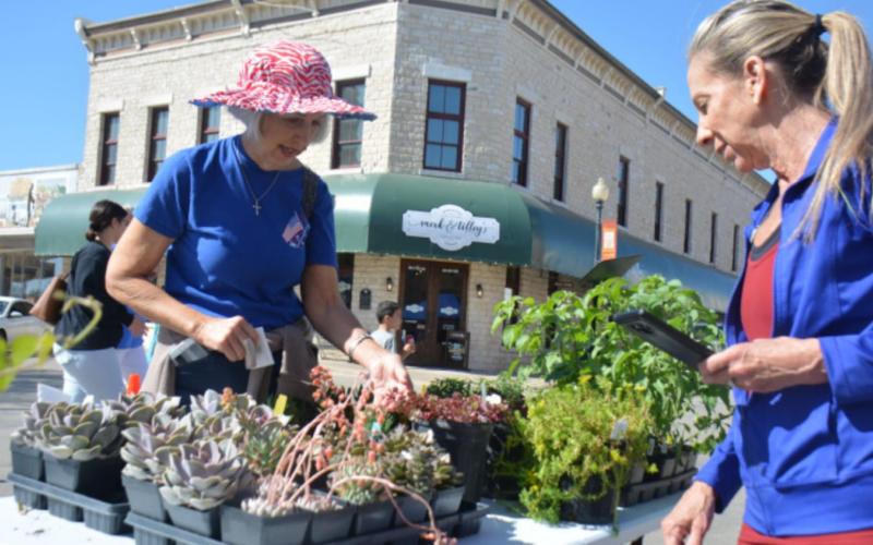 Sheila Bean, left, inquires about succulents while visiting with Rumley Nursery owner Donna Keitch during Saturday’s Spring Fest. MONIQUE BRAND | DISPATCH RECORD