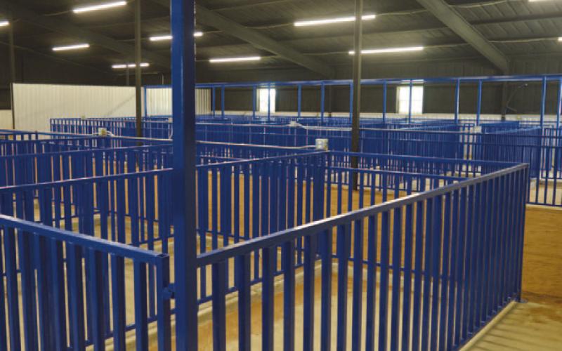 ERICK MITCHELL | DISPATCH REACORD Each pen is 10 feet long and 5 feet wide, large enough for a pig or for two smaller animals, said Jeff Rutland, president of the Lampasas County Livestock Association.