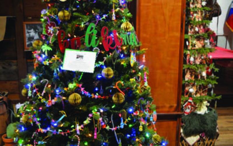 Taylor Creek Elementary School’s “Mele Kalikimaka” themed tree earned first in the children’s division. ERICK MITCHELL | DISPATCH RECORD