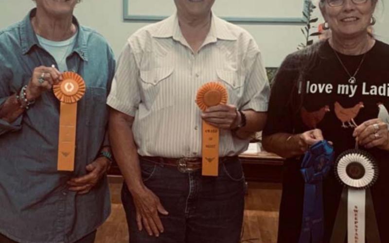 Earning special awards at the L-M Garden Club’s annual flower show were, from left to right, Val Cash, Award of Merit for her airplane plant; Sue Anderson, Award of Merit for her amaryllis; and Tico Hicks, Best in Show Design Class. Hicks also was the Sweepstakes winner after earning 15 blue ribbons at the show. COURTESY PHOTO