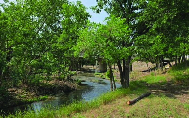 Forward Lampasas volunteers have worked to clear out underbrush and invasive cane along Sulphur Creek to expose the hidden beauty of the area. SHAWN KIRKPATRICK | COURTESY PHOTO